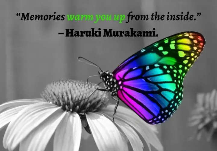 Precious Memories Quotes Images