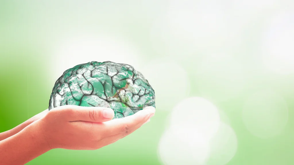 Declutter your mind to Declutter Your Life!- bigbraincoach