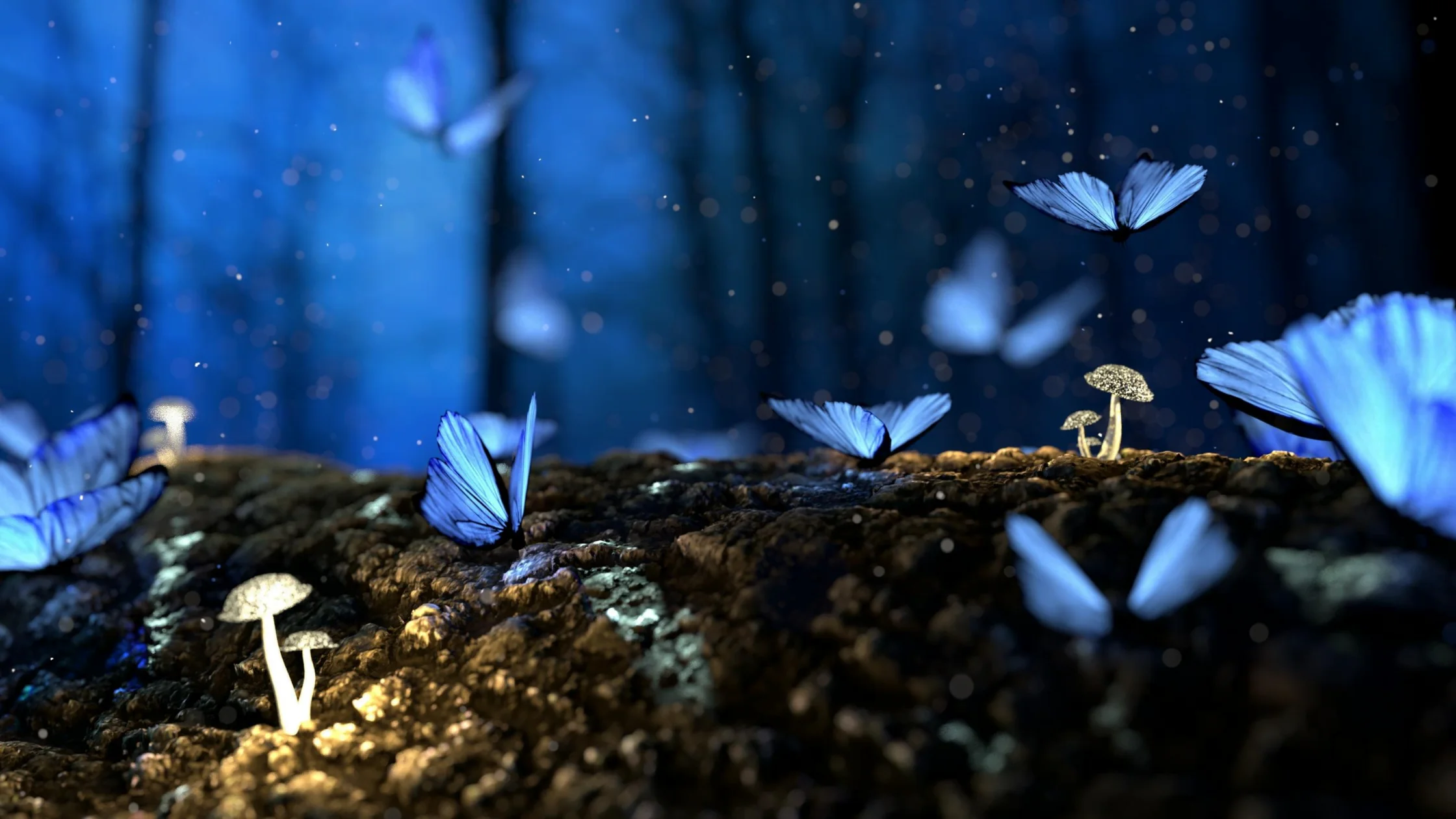 These butterfly meaning can blow your mind!