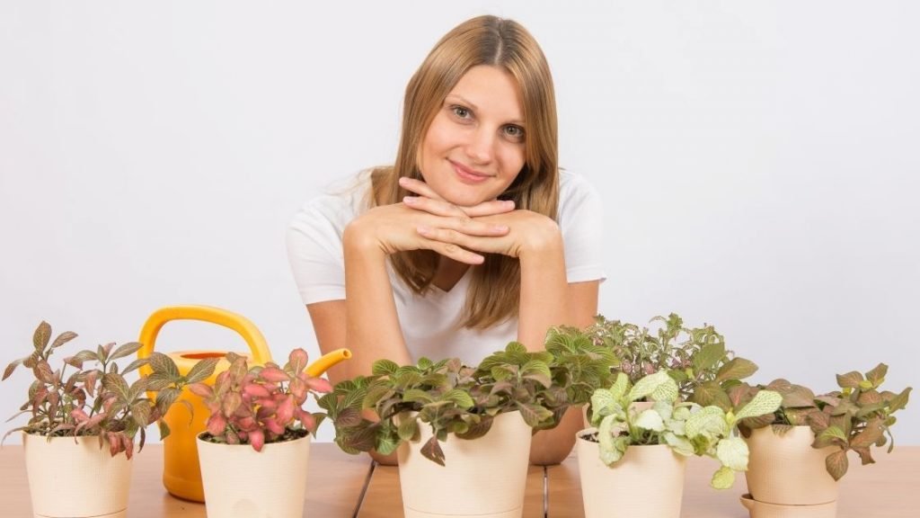 9 Indoor Plants For Spiritual Protection And Positive Energy