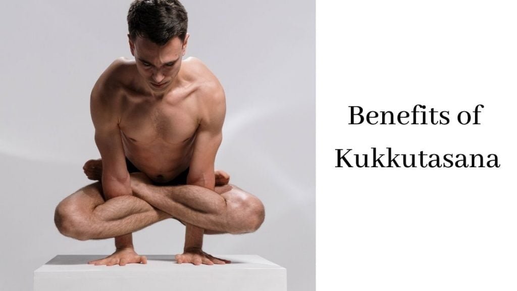 Benefits of Kukkutasana Images
