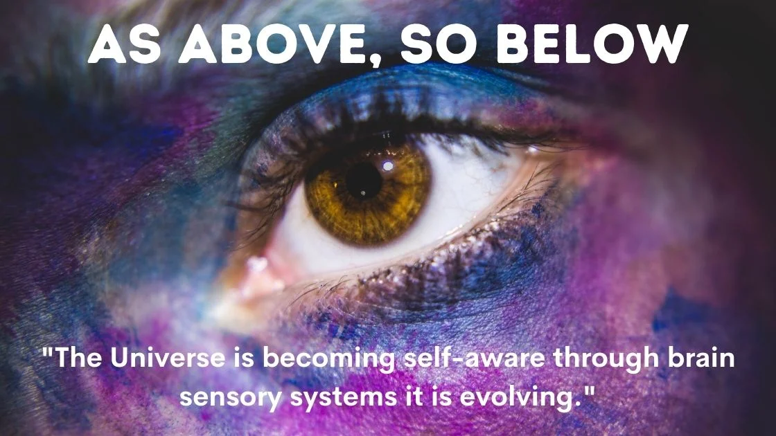 5d Consciousness Quotes Images