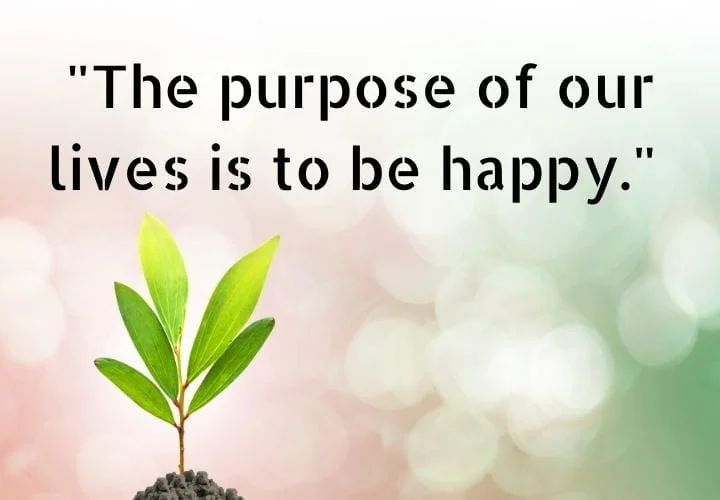 Life Happens Quotes Images