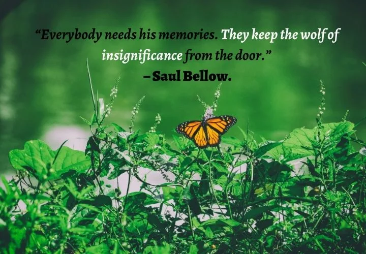 Precious Memories Quotes Images