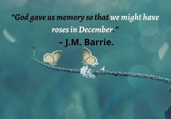 Precious Memories Quotes Images