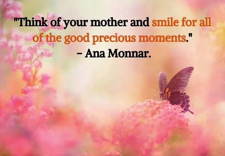Precious Memories Quotes Images