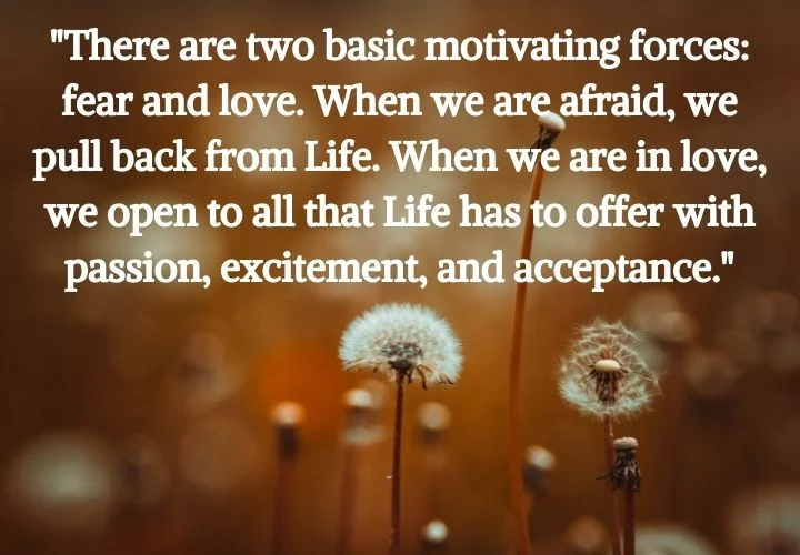 Life Happens Quotes Images