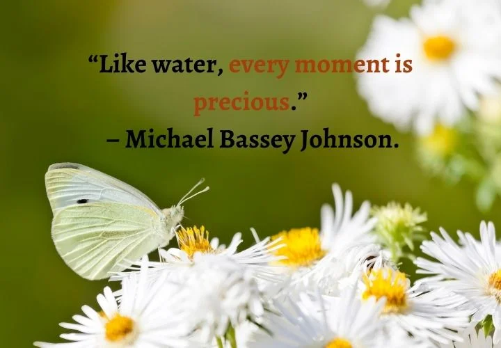 Precious Memories Quotes Images