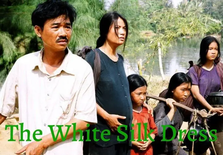 Vietnamese Movies on Netflix Images