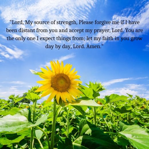 Prayer for Relationships Strengthening with God