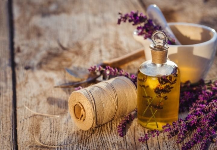 Lavender Essential Oils for Canker Sores Images