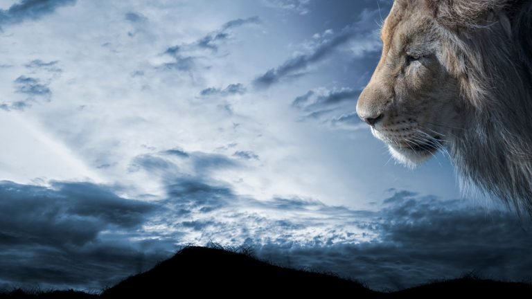 Signs God is Trying to Tell You Something