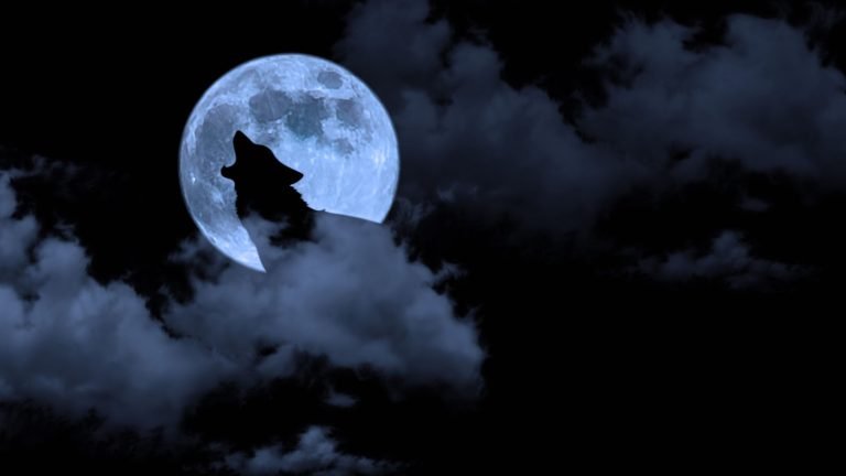 Biblical Meaning of Wolves in Dreams