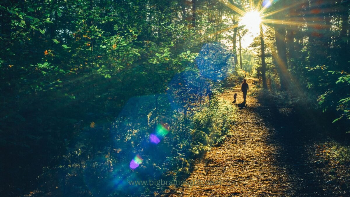 Connect with Nature