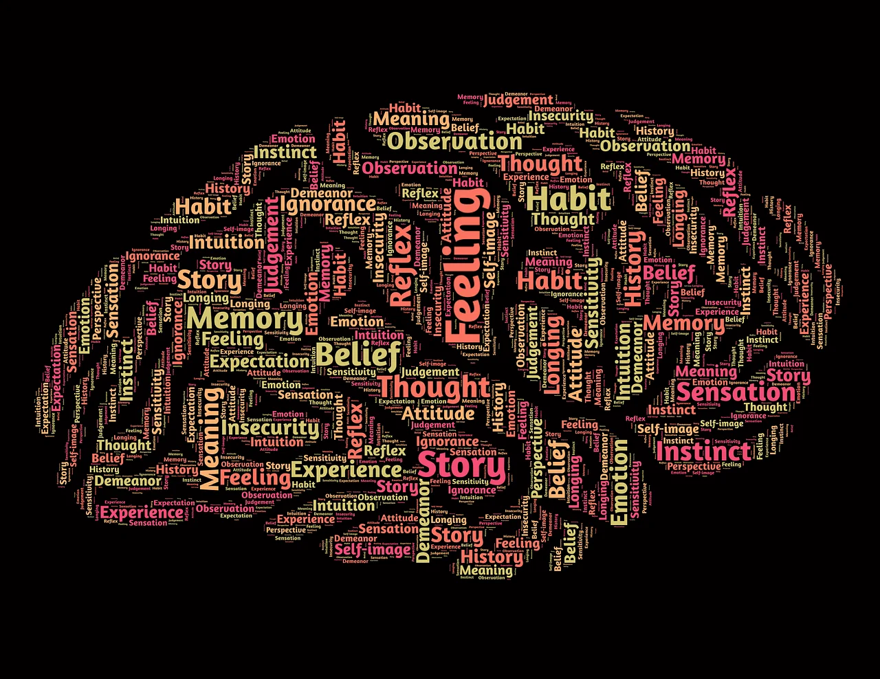 why knowledge is important