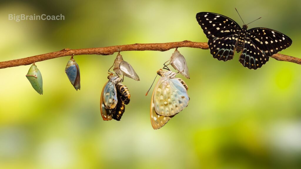 Spiritual Meaning of a Rainbow