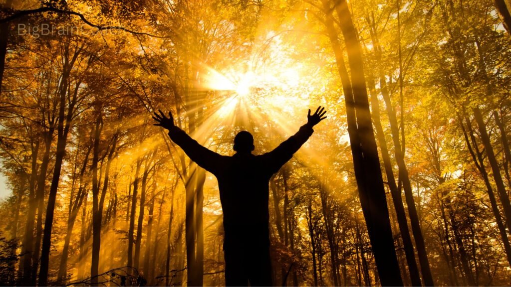 Bird Chirping at Night Spiritual Meaning