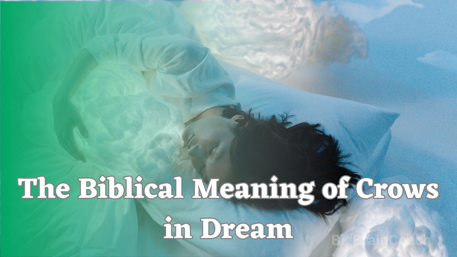 The Biblical Meaning of Crows in Dream