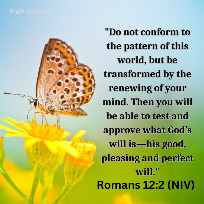 Bible Verses About Transformation