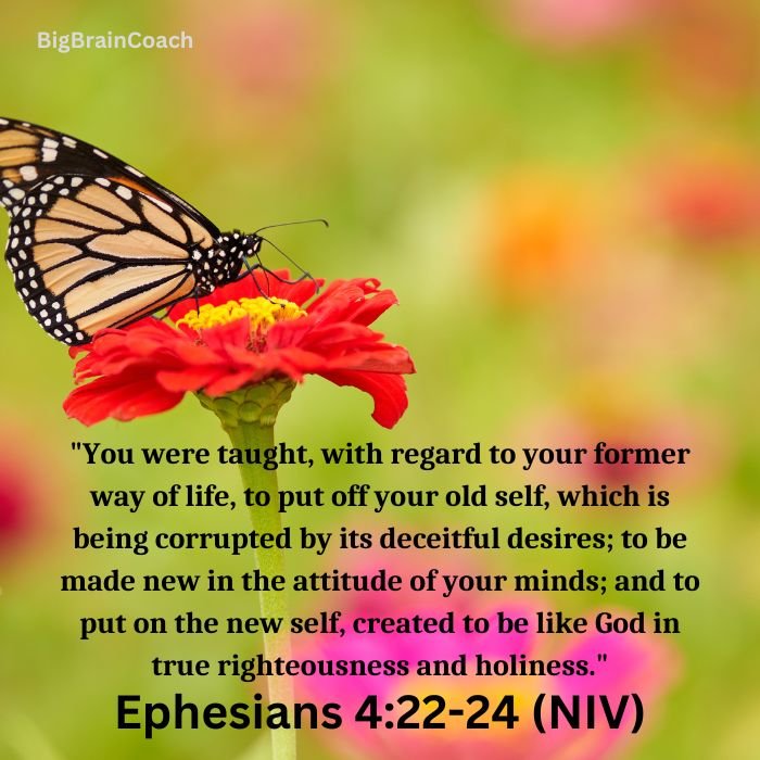 Bible Verses About Transformation
