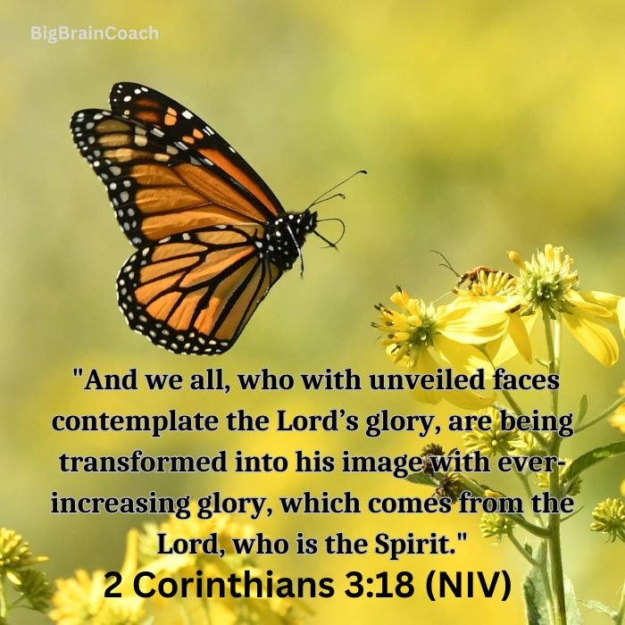 Bible Verses About Transformation