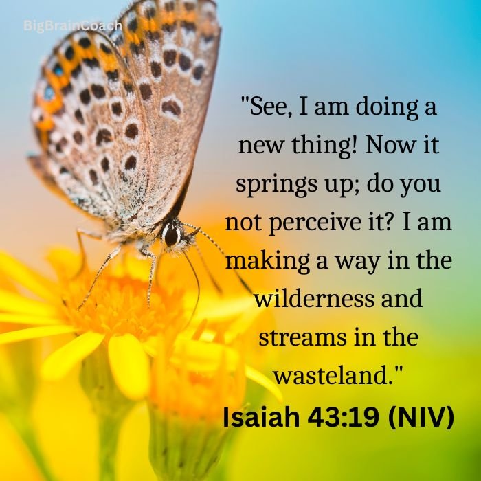 Bible Verses About Transformation