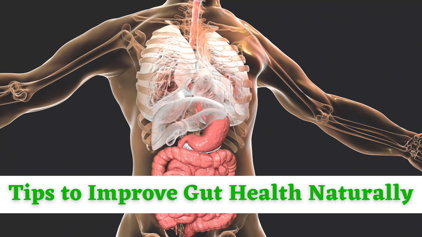 Improve Gut Health Naturally