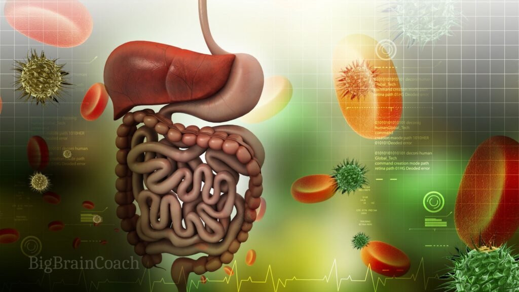 Supplements to Improve Gut Health