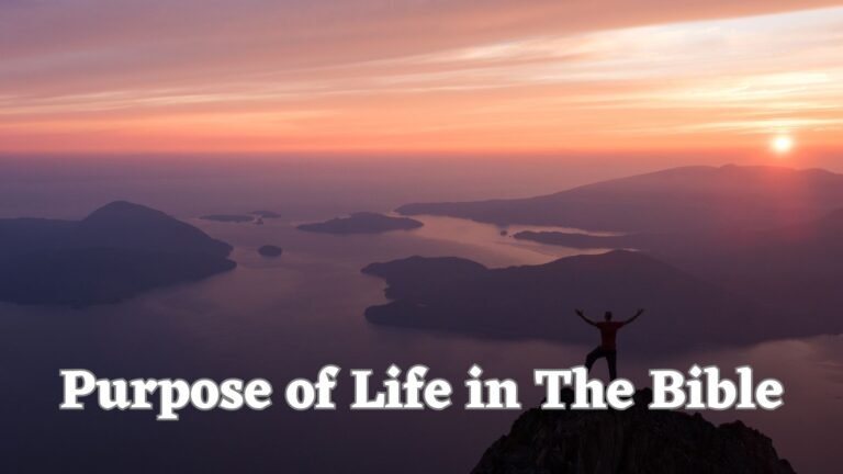 What is Purpose of Life?