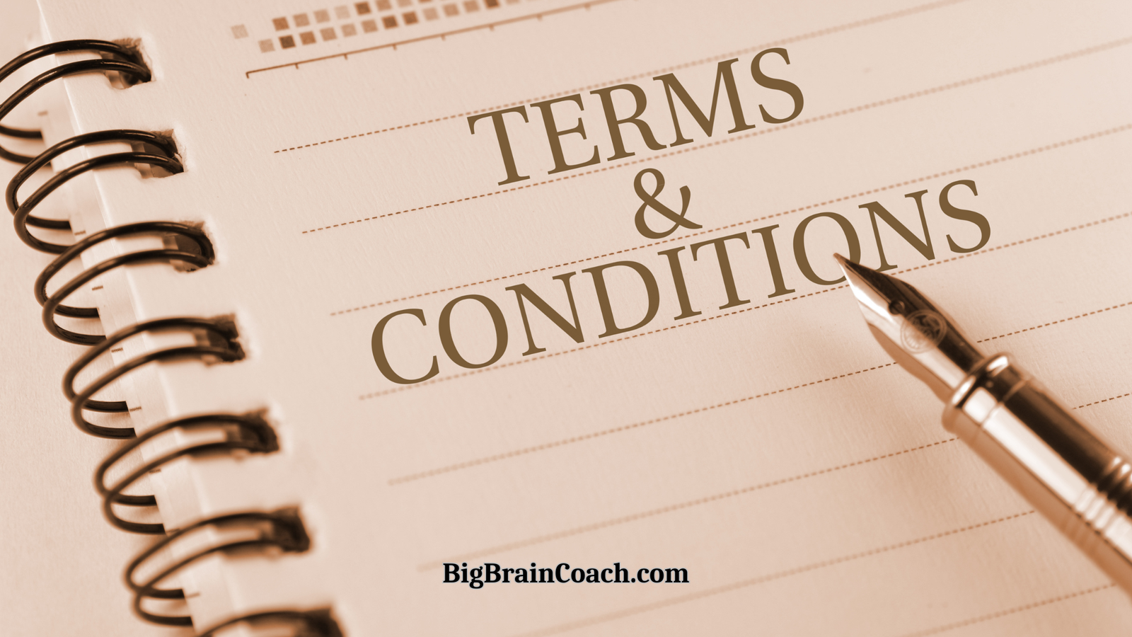 Terms and Conditions - BigBrainCoach