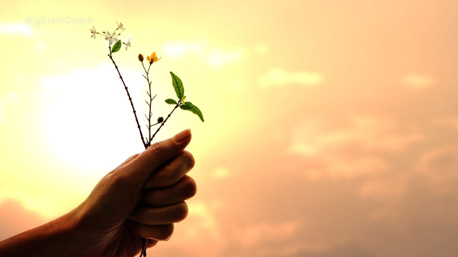 How To Turn Back To God After Falling Away